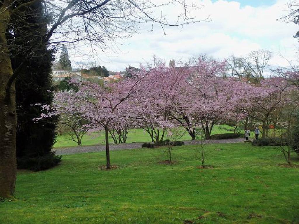 149 PARC ORIENTAL DE MAULEVIER MAINE ET LOIRE 2016 N0_000026.jpg